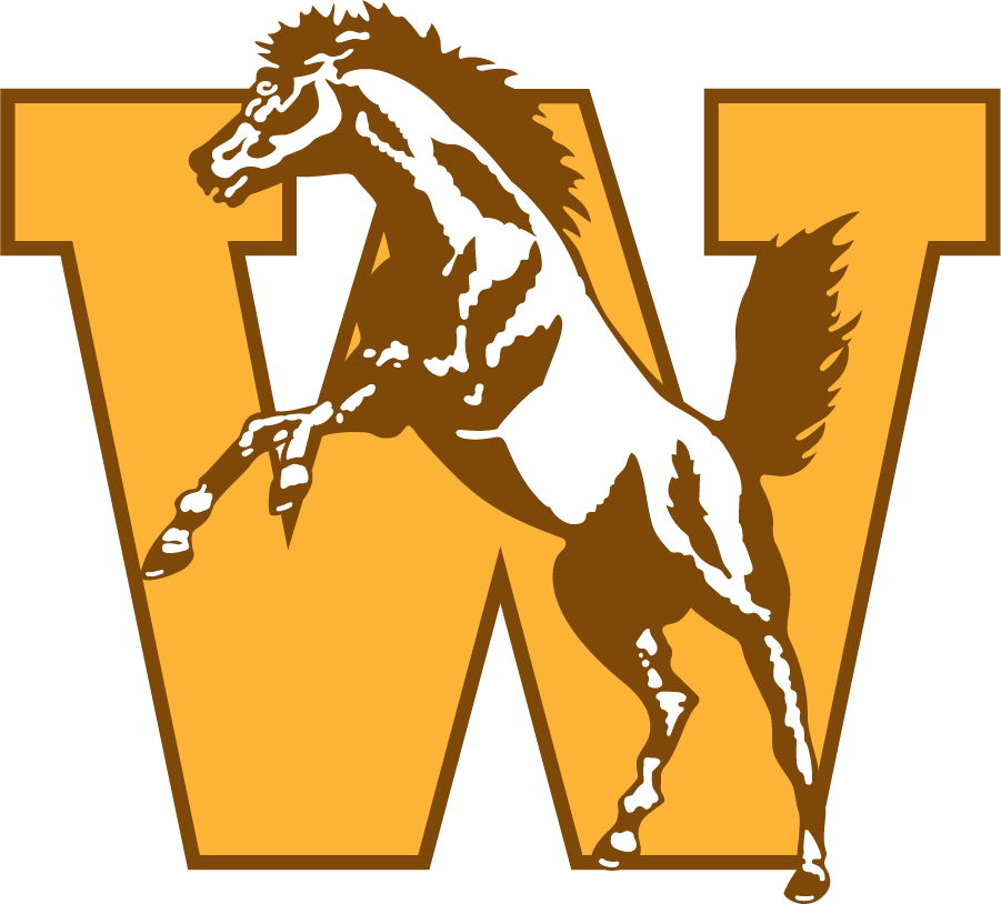 Western Michigan Broncos 1994-1998 Primary Logo iron on transfers for clothing...